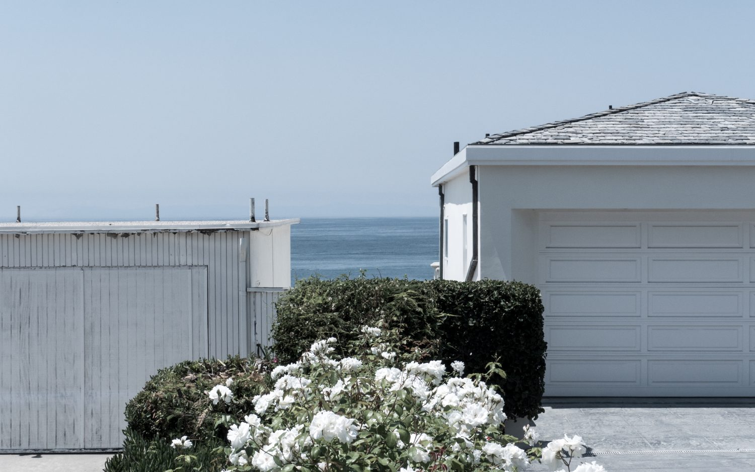 COLONY 2139 - Teivos